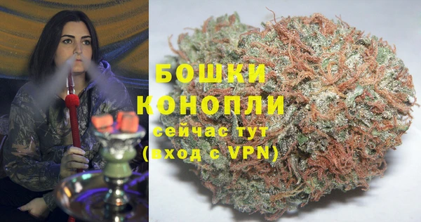 спайс Вяземский
