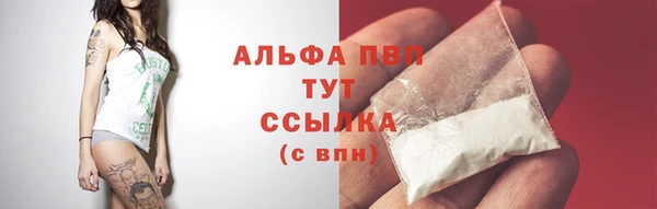 круглые Вязьма