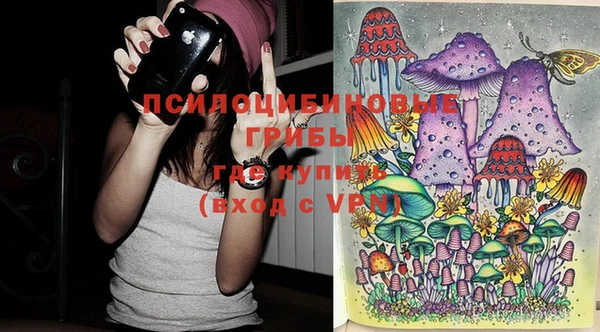 круглые Вязьма