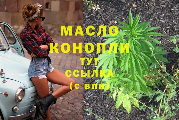 прущий лед Горняк
